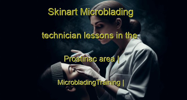 Skinart Microblading technician lessons in the Prostinac area | MicrobladingTraining | MicrobladingClasses | SkinartTraining-Serbia